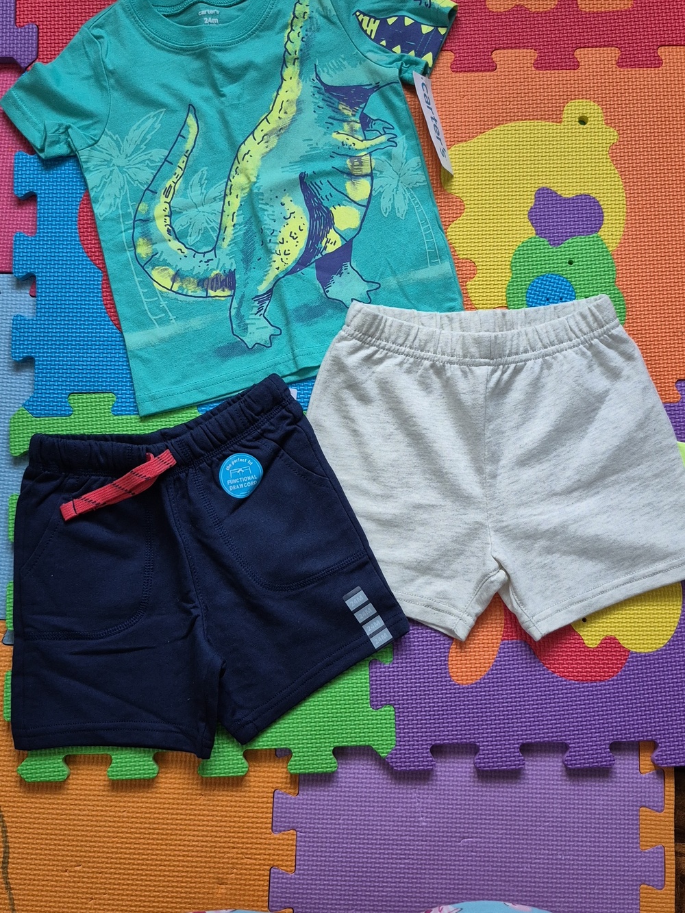 Carter's Baby Boy 24M Shorts and Tshirt